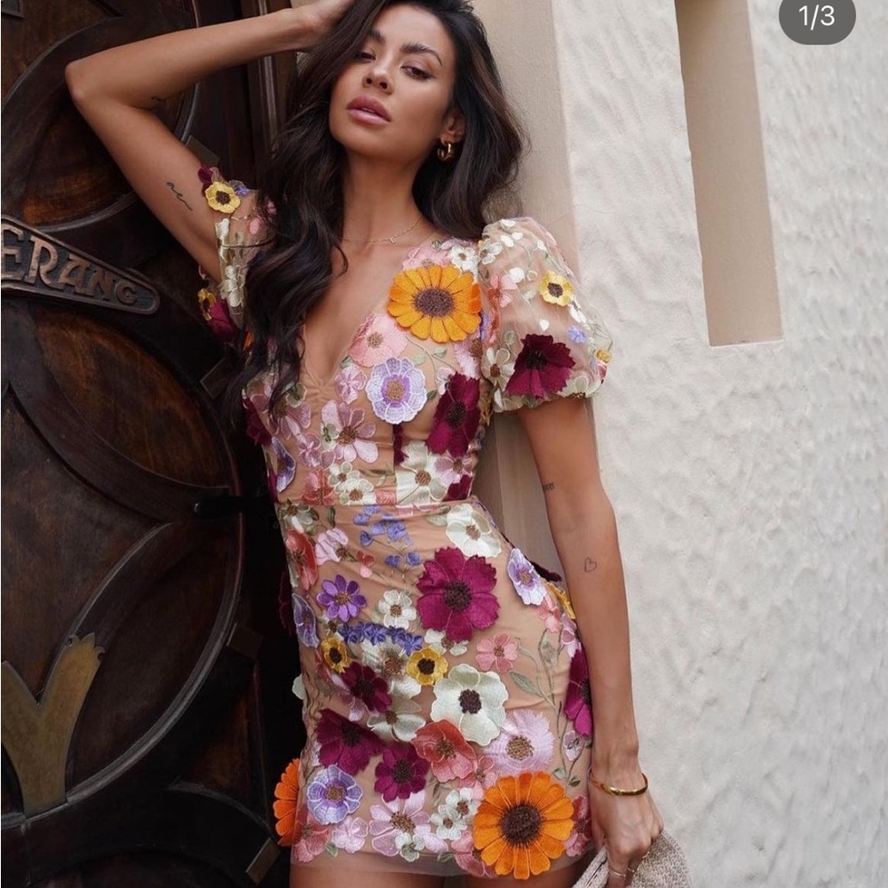Elliatt Floral Embroidered Mesh Mini Dress in Beige, Orange, Purple, Pink